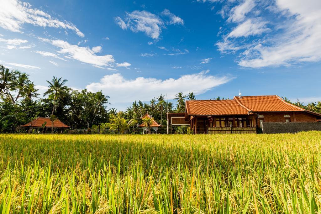 Maluhia Haven Villa Ubud Eksteriør bilde